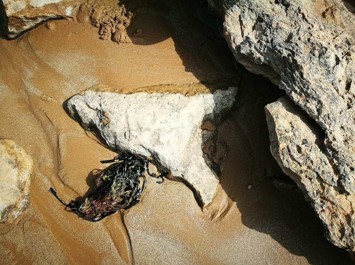 A Dimora Di Nene Villa Marina di Modica Luaran gambar